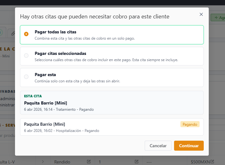 Elegir si se pagarán todas las citas, citas seleccionadas o solo esta cita