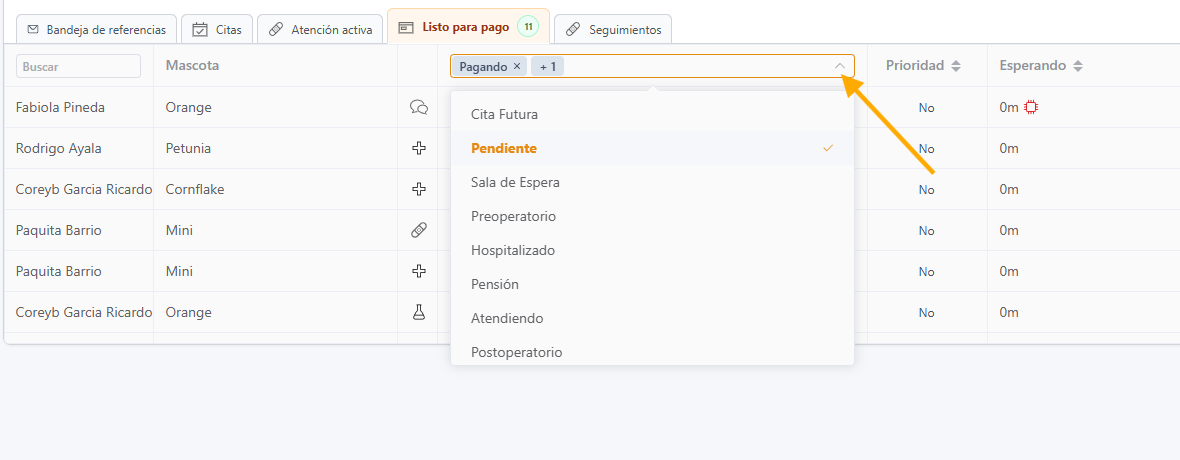 Usar filtros de estatus para encontrar citas que no aparecen en Pagando