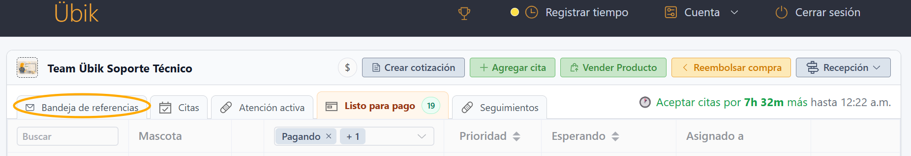 Pestaña Citas en el Portal de Recepción