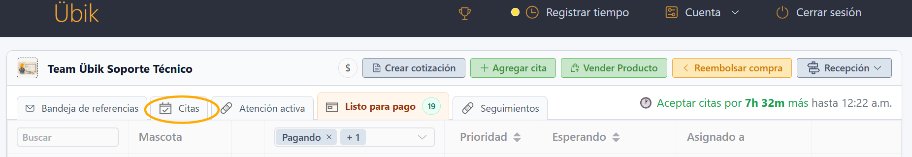 Pestañas del Portal de Recepción en Übik